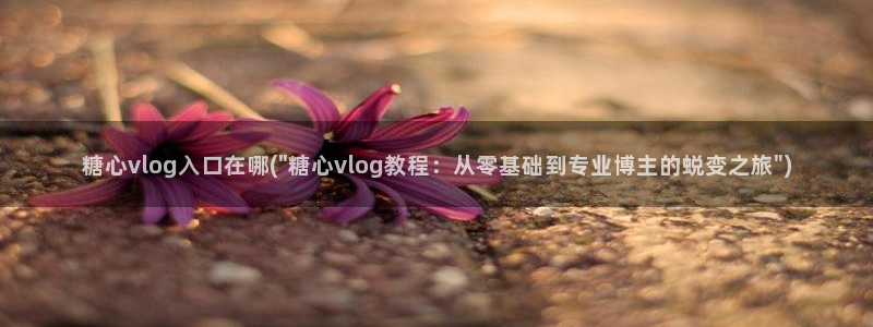 糖心vlog蜘蛛:糖心vlog入口在哪(